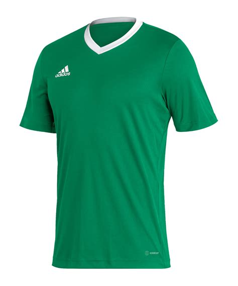 adidas Entrada 22 Trikot Grün 